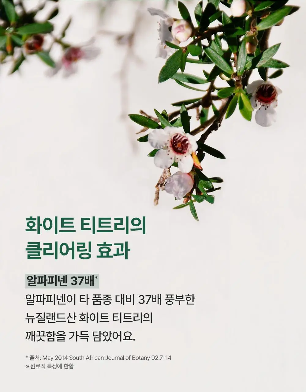 [모공/피지 클렌징] 티엘스 화이트 티트리 아크 플러스 팩클렌저 100ml 상세페이지 6